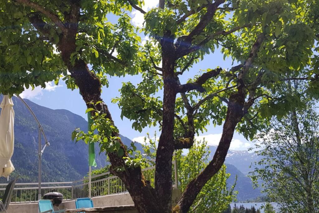 Ferienhaus Kopriwa Bad Goisern Dış mekan fotoğraf