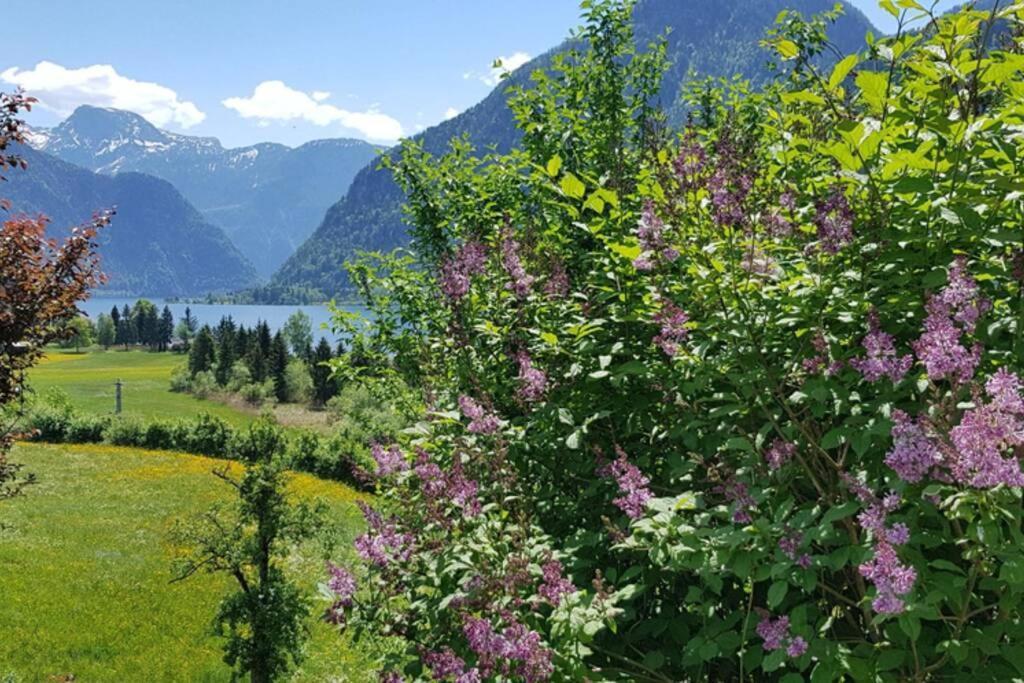 Ferienhaus Kopriwa Bad Goisern Dış mekan fotoğraf