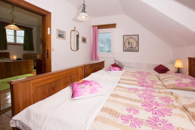 Ferienhaus Kopriwa Bad Goisern Dış mekan fotoğraf